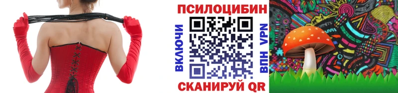 Галлюциногенные грибы MAGIC MUSHROOMS  omg зеркало  Теберда 